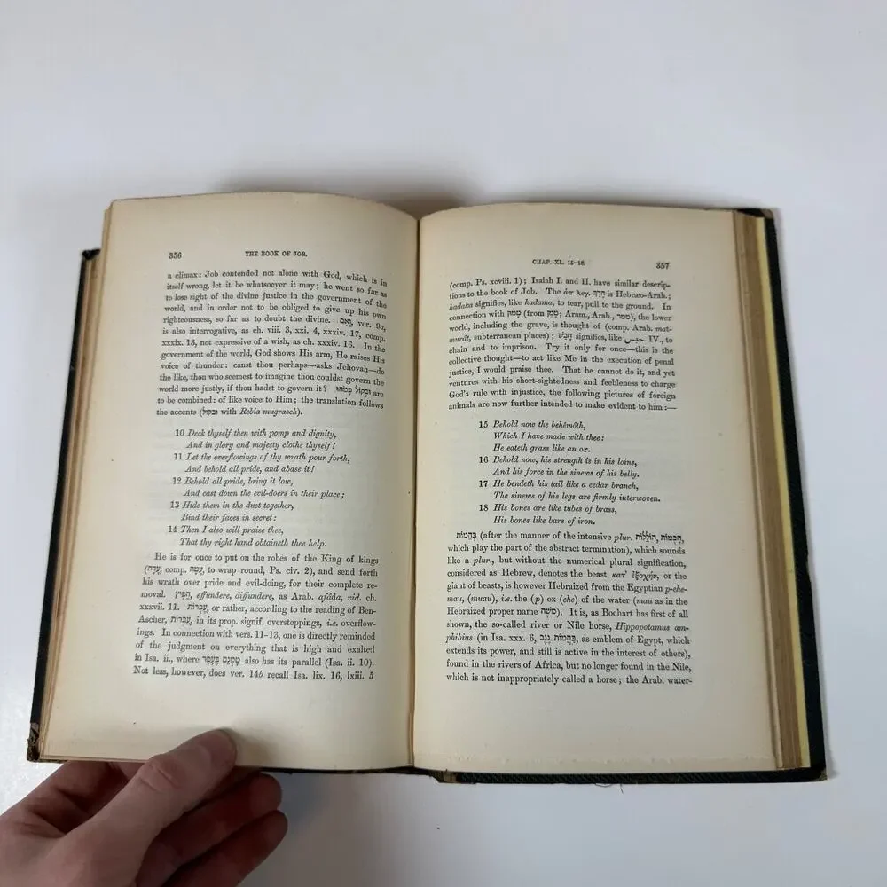Biblical Commentary on the Book of Job Vol II by F. Delitzsch 1872 Antique Book
